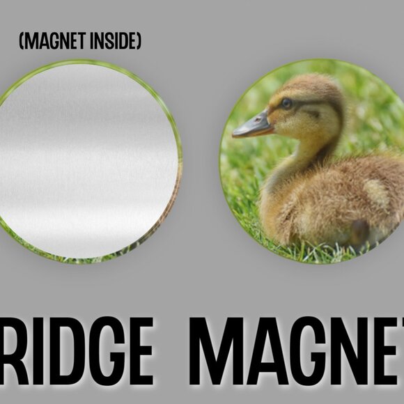 Mallard Duck Fridge Magnets Set Of 6 Metal Magnets For Home Office Kitchen - Picture 3 of 6